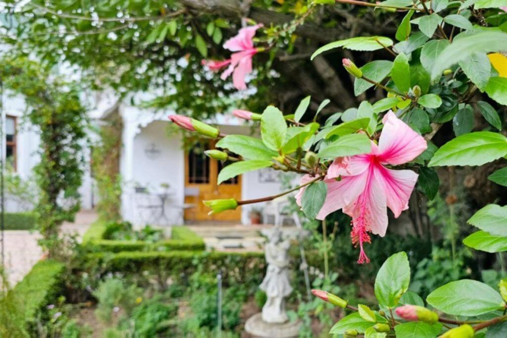 Grey Rabbit Cottage 蒙塔古 外观 照片